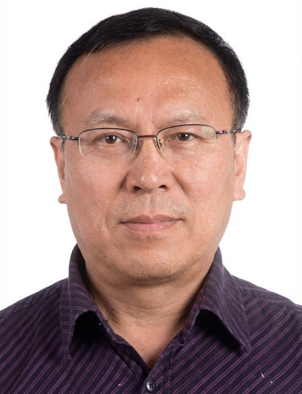 Prof Wang Xiaoping